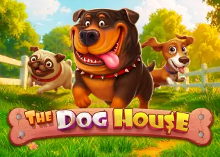 เลิศล็อตโต้ ดีไหม The Dog House ทดลองเล่นฟรี